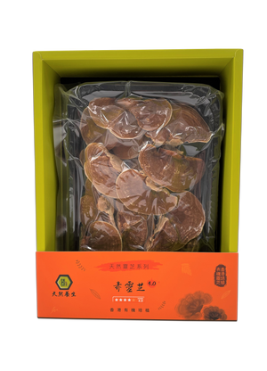 原味道赤靈芝4.0